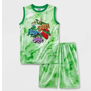 Boys' Teenage Mutant Ninja Turtles 2pc Pajama Set - Green S
